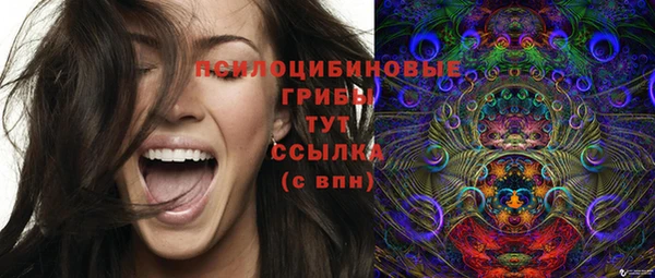 ПСИЛОЦИБИНОВЫЕ ГРИБЫ Артём