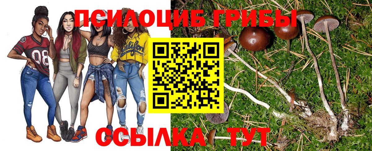 Псилоцибиновые грибы Psilocybe Павловский Посад