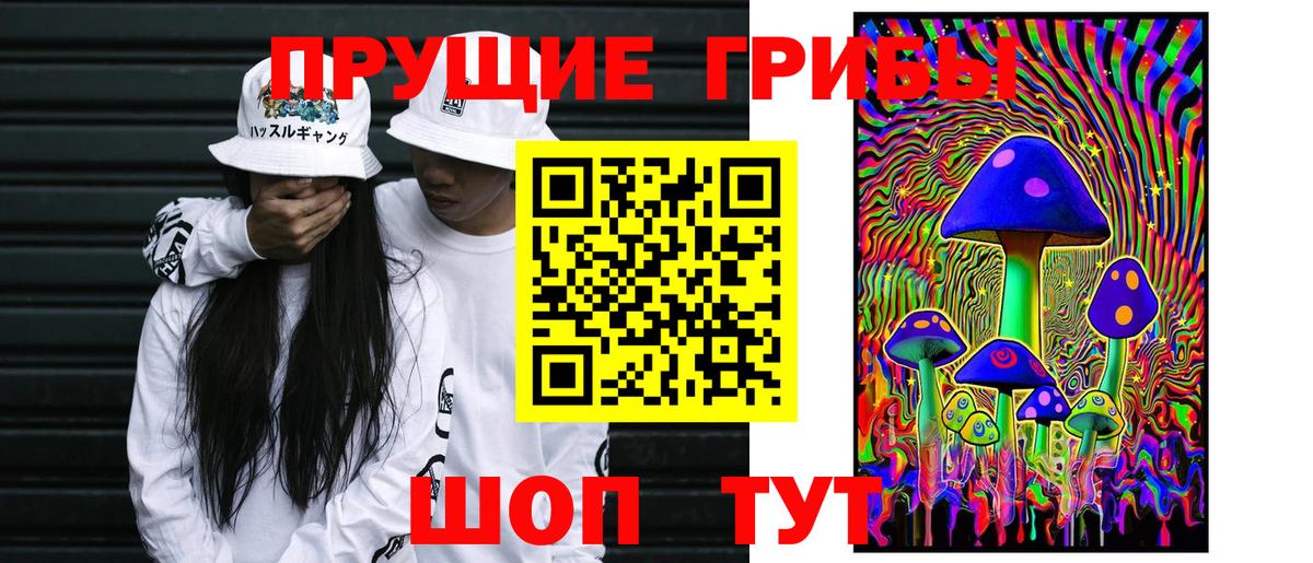 Псилоцибиновые грибы ЛСД Павловский Посад