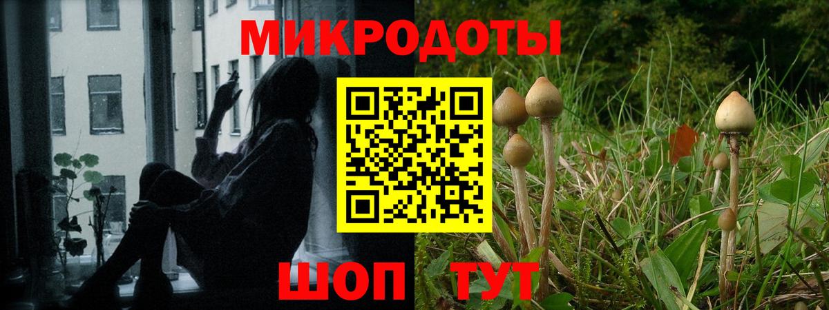 Павловский Посад  Галлюциногенные грибы мицелий  Вход с VPN 