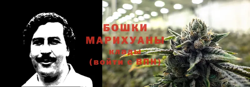 Бошки марихуана LSD WEED  Павловский Посад 